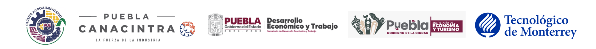 Untitled design (1)-2