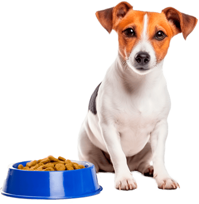 dog_food dog_food